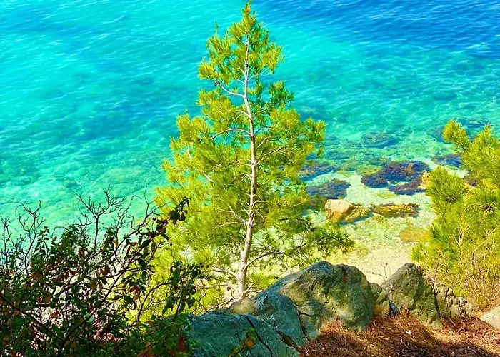 Simplymore 아파트 포드스트라나